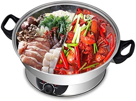Galaxy Tiger 2 in 1 Electric Hot Pot / Steamboat SET-500N